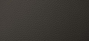 mah-ATN Sectors Automobiles Leather Pana 096X5270_mah
